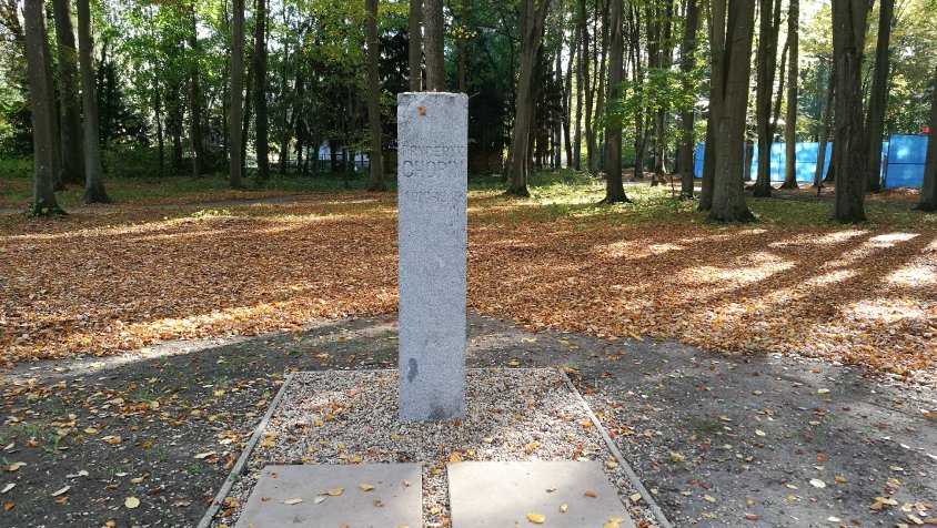Park Chopina w Drawsku Pomorskim doczeka się popiersia Fryderyka