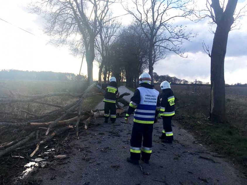 15:40 Jednostka OSP Kaliszu Pomorski o godzinie 15:40 zadysponowana do powalonego drzewa na drogę między miejscowościami Jasnopole a Suchowo.