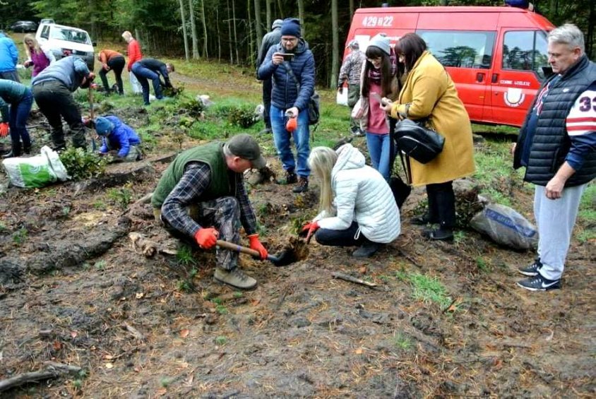 Sadząc las zebrali 5 tys. zł. dla chorych Julii i Natalii. Teraz akcja przenosi się do Czaplinka