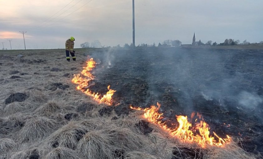 Strażacy informują. Spaliło się 1,5 hektara nieużytków 