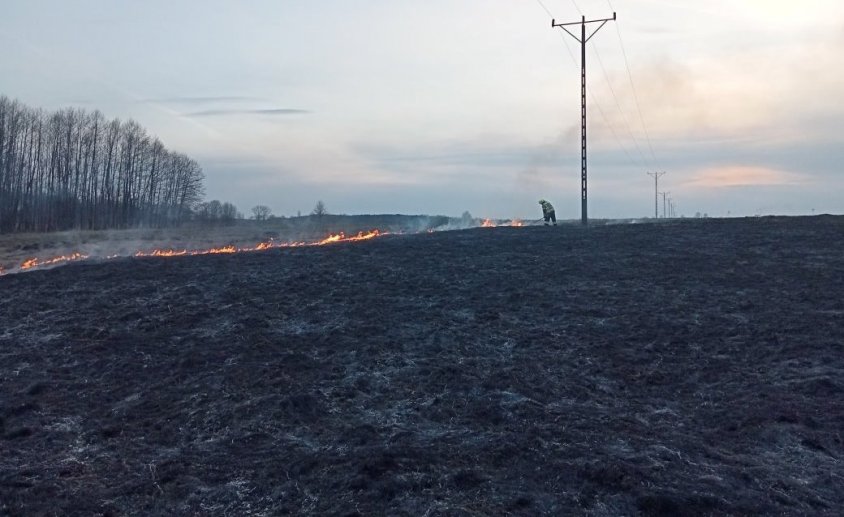 Strażacy informują. Spaliło się 1,5 hektara nieużytków 