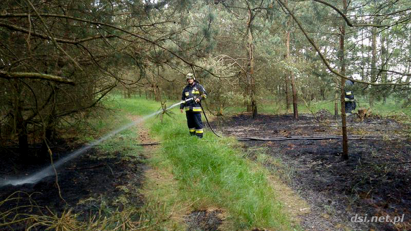 Pożar lasu. Strażacy szli półtora kilometra pieszo aby ugasić płomienie