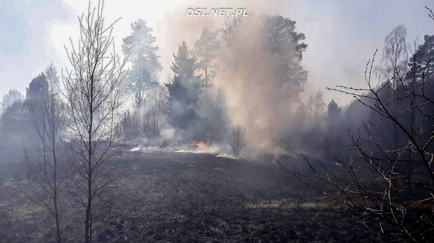 Pożar w Kuszewie