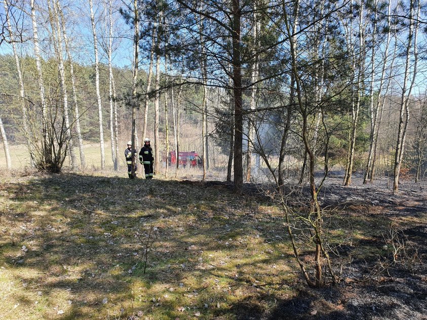 Strażacy gasili pożary w okolicach Bolegorzyna, Nowego Worowa i Czarnego Wielkiego