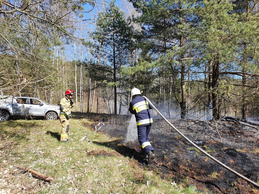 Strażacy gasili pożary w okolicach Bolegorzyna, Nowego Worowa i Czarnego Wielkiego