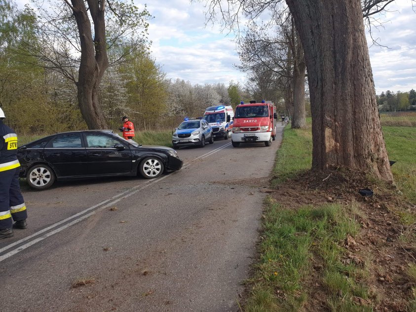Wypadek: Vectra uderzyła w drzewo. Kierowca był pod wpływem alkoholu
