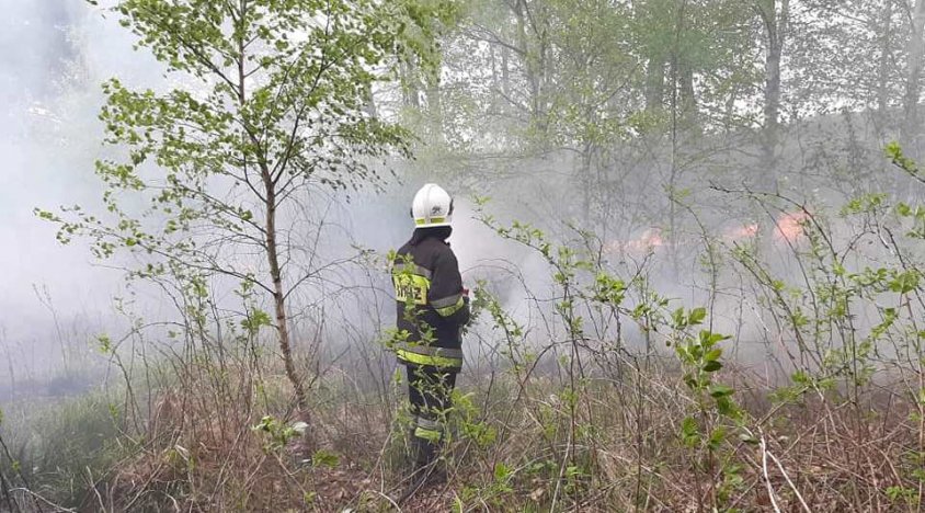 Strażacy ponownie gaszą pożary w lasach. 