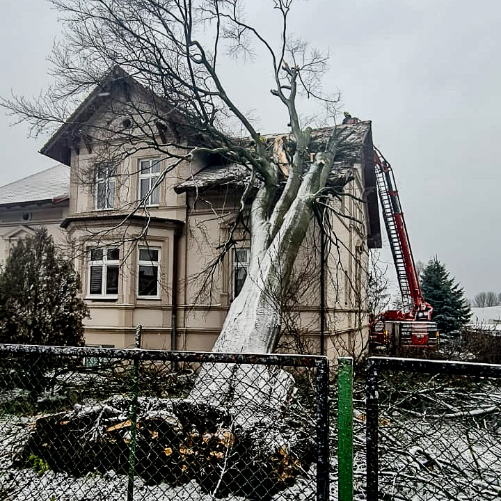 Drzewo zwaliło się na dom. Strażacy usuwają też inne szkody