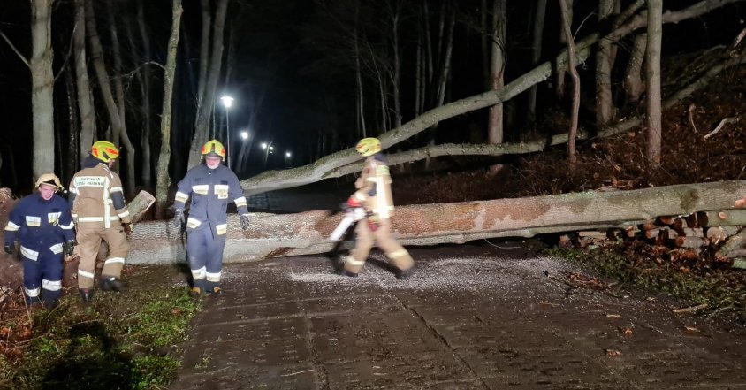 Drzewo zwaliło się na dom. Strażacy usuwają też inne szkody