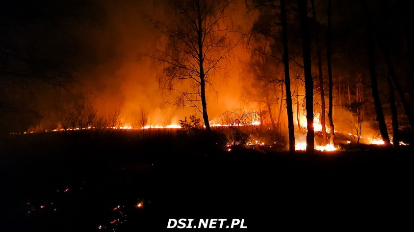 Duży pożar w okolicach  miejscowości Psie Głowy