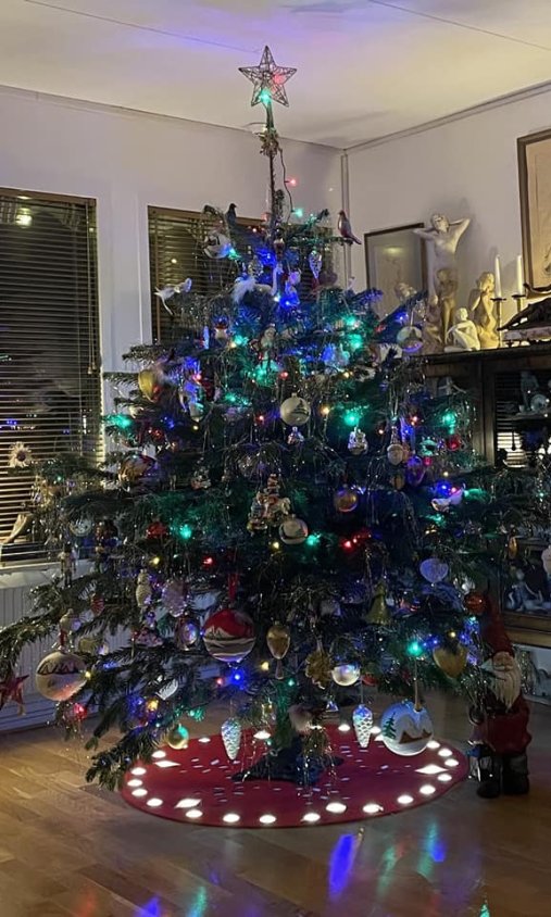 Galeria świątecznych drzewek 