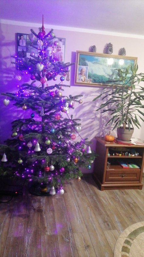 Galeria świątecznych drzewek 