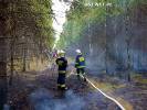 Spaliło się pół hektara lasu w okolicach miejscowości Studniczka