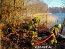 Pożar lasu. Strażacy gasili pożar w ciężkich warunkach. Zdjęcia