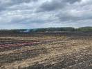 2021-08-15 13 zastępów strażaków i rolnicy gasili dzisiaj ogromny pożar. Spłonęło 15 ha pół (2)