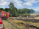 2021-08-15 13 zastępów strażaków i rolnicy gasili dzisiaj ogromny pożar. Spłonęło 15 ha pół (2)