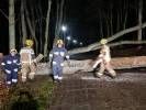 2021-12-03 Drzewo zwaliło się na dom. Strażacy usuwają też inne szkody (2)
