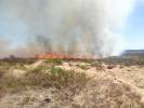 Na wypalonej ziemi – pożar na poligonie w okolicach pasa ćwiczeń taktycznych Góra Hetmańska