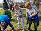 Ogrodniczo-wiosenna  integracja w Suliszewie