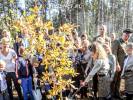2018-10-15 Harcerze z Pomierzyna w akcji sadzenia Dębu Wolności na 100-lecie Niepodległości
