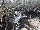 Obraz zniszczeń po przerwaniu tamy bobrów w Borowie