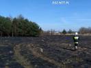 Wierzchowo – spłonęły gołębnik, budynek i 15 hektarów nieużytków oraz trzciny w Kaliszu Pomorskim