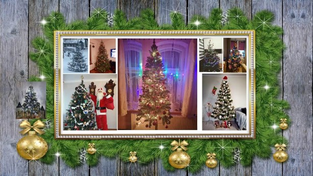 Zobacz: Galeria Waszych pięknych choinek bożonarodzeniowych