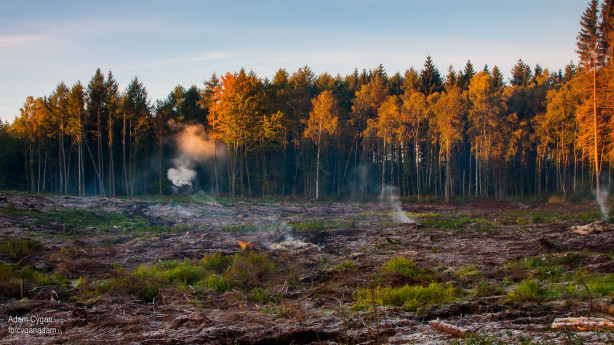 Nadleśnictwa: Drawsko, Czaplinek i Świerczyna odkupią od Ciebie ziemię i zasadzą na niej las