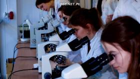 Obserwacje mikroskopowe szczepów bakterii